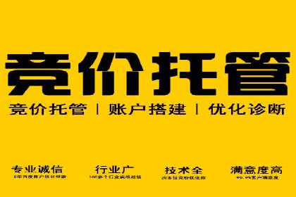 百度竞价推广的ROI优化策略：一则案例分析